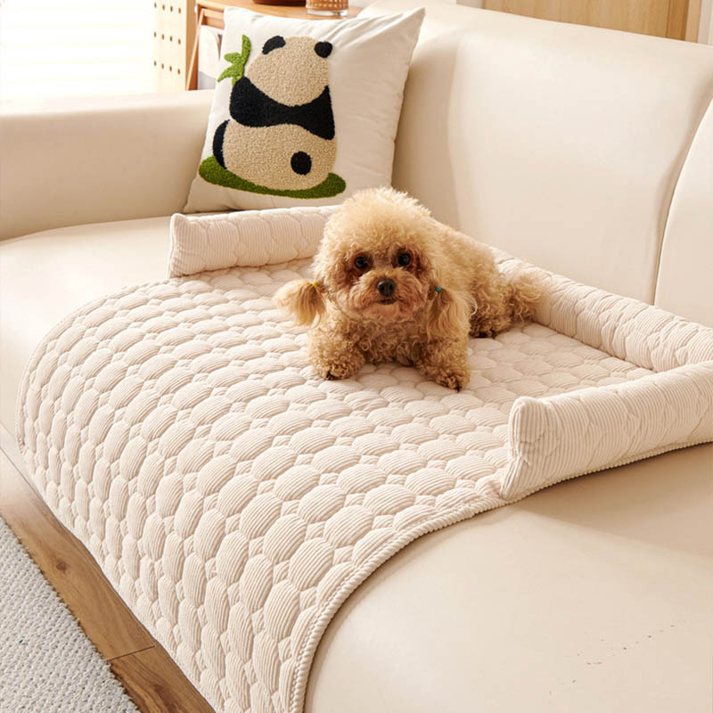 Pet Supplies Application - Popular cat and dog mats, pet