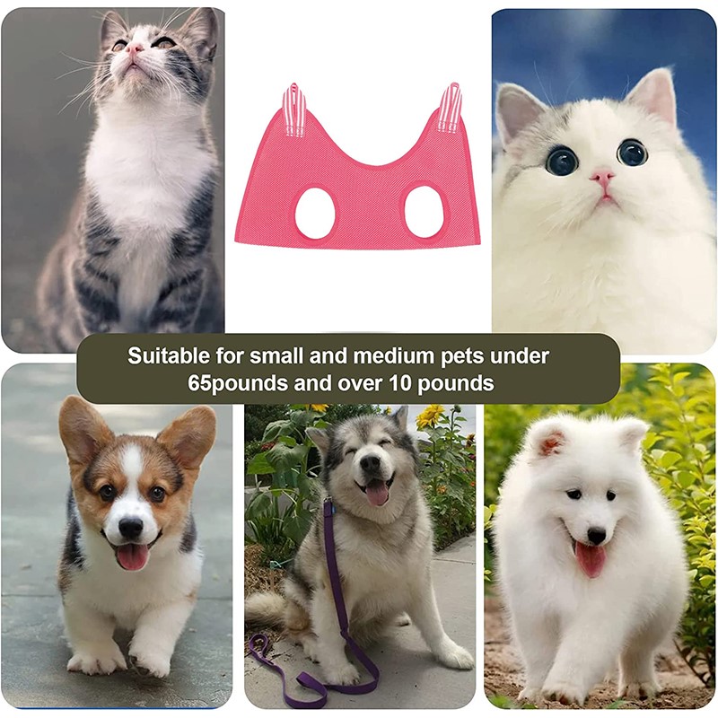Pet Supplies Nail Trim - Pet Beauty Hammock Hanging Cat Grooming