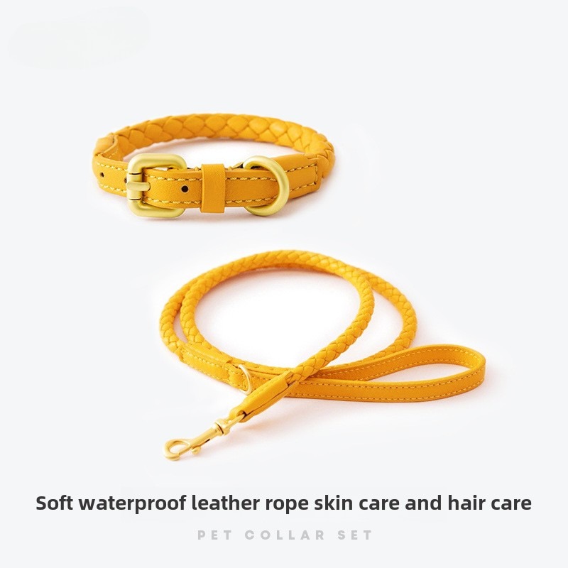 Pet Supplies In Bulk - Loudik Wholesale Braided Leather Dog Leash