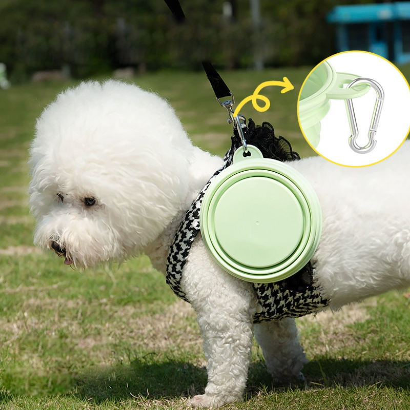 Color Pet Supplies Portable Fo - Pet Supplies Is Food review and price