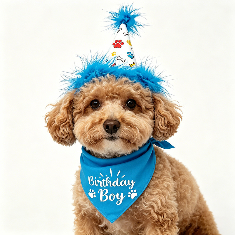 Dog Birthday Party Set Bandana - Pet Supplies In Bulk review and price