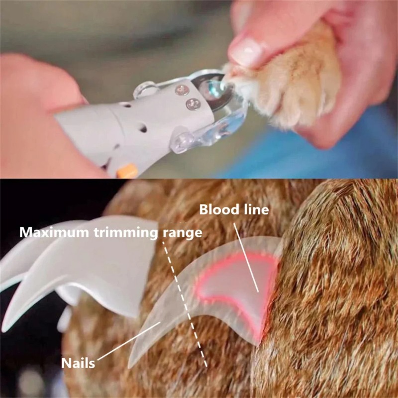 1PC Pet Nail Clipper with LED  - Dog Grooming Clippers review and price