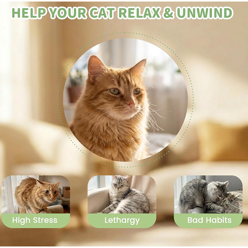 Mint Cigarettes Cat Toys Cigar - Catnip Toys review and price