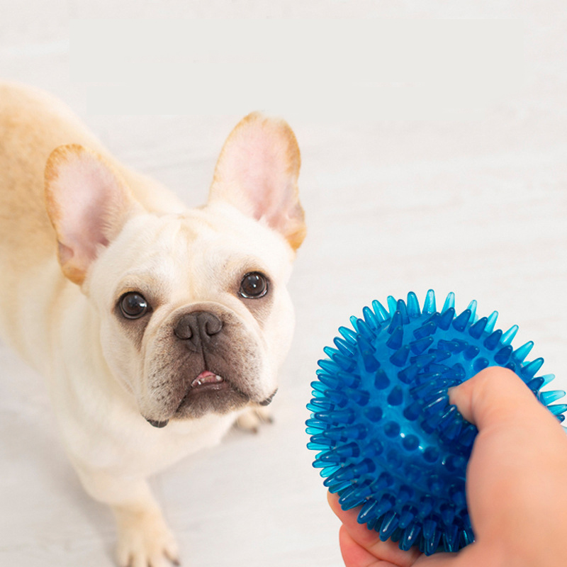 High Elasticity French Bulldog - Pet Supplies In Bulk review and price