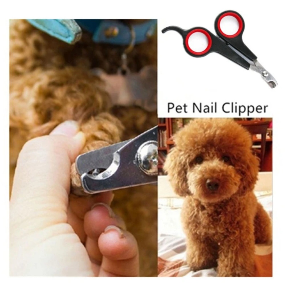 12cm Pet Nail Clipper Trimmer  - Pet Supplies Nail Trim review and price