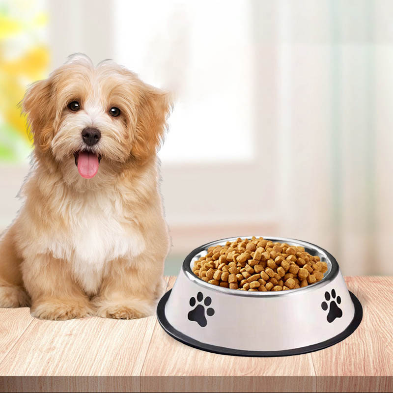 Stainless Steel Large Capacity - Pet Supplies Is Food review and price