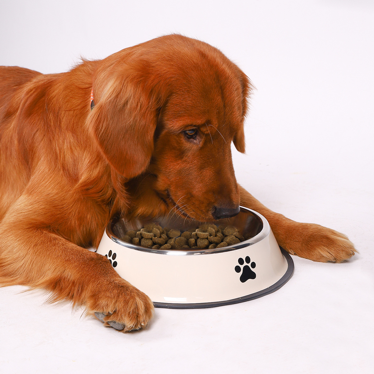 Stainless Steel Large Capacity - Pet Supplies Is Food review and price