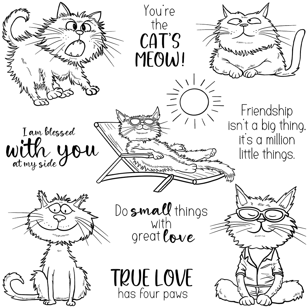 Mangocraft Funny Pet Cats Holi - Pet Supplies Is Food review and price