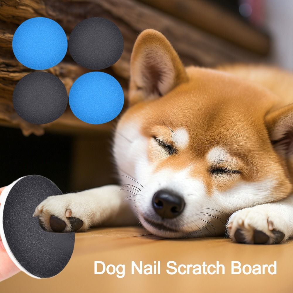 Replacement Pet Supplies Dog N - Pet Supplies Nail Trim review and price