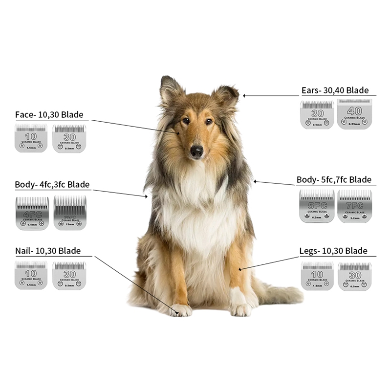 Professional Detachable Pet Do - Dog Grooming Clippers review and price