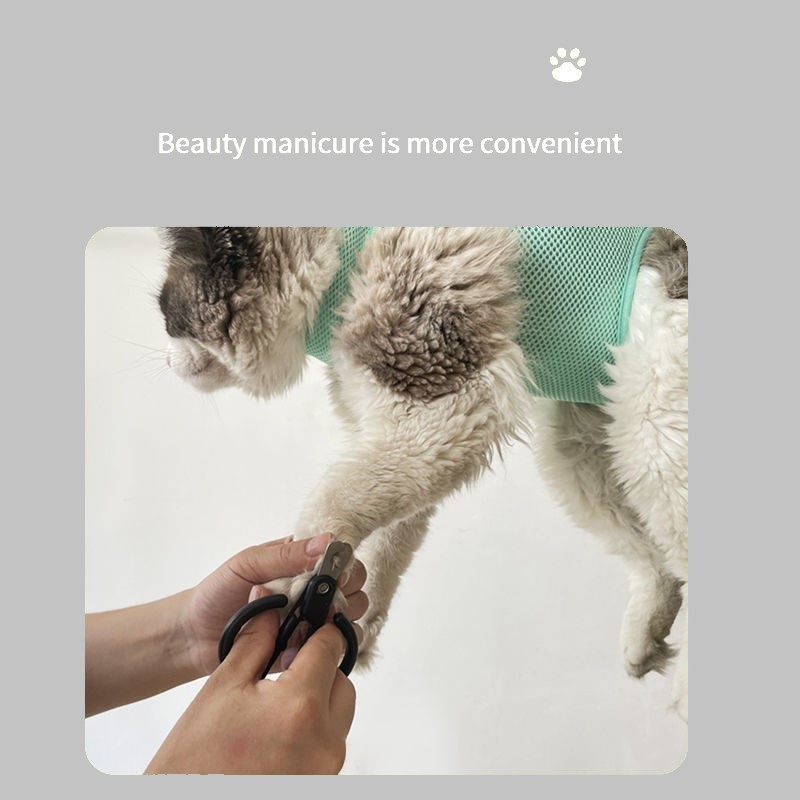Cat Grooming nail cutting anti - Pet Supplies Nail Trim review and price