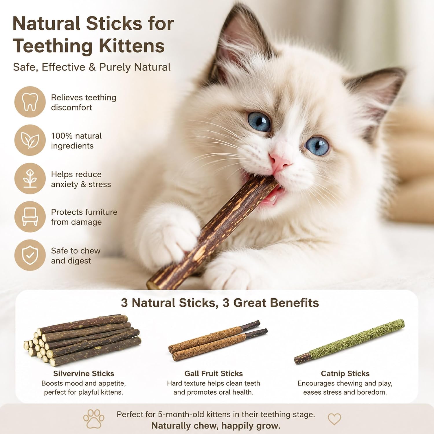 24PCS 3 Flavors Silvervine Sti - Catnip Toys review and price