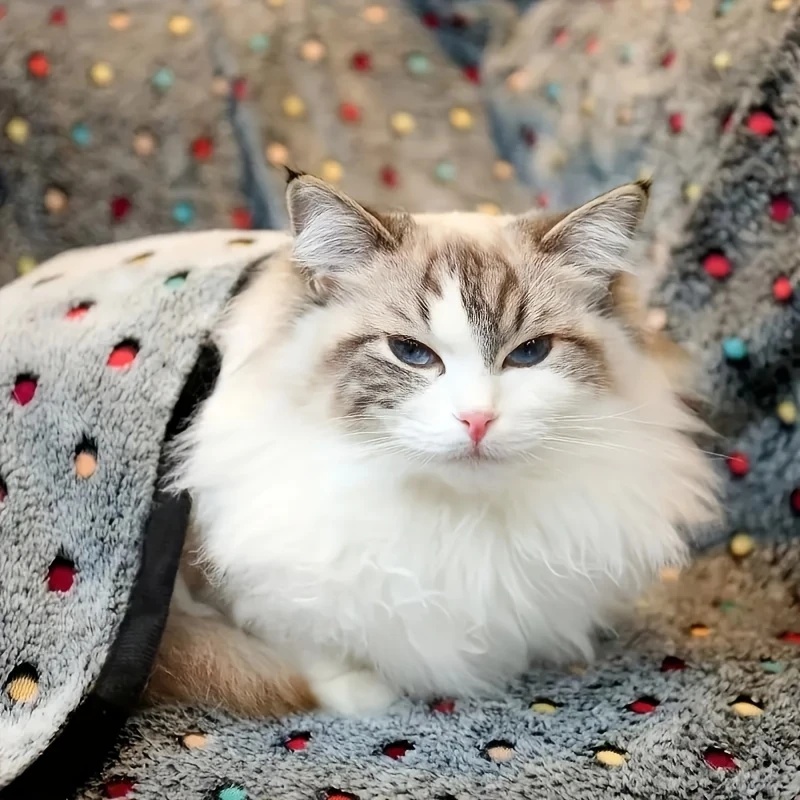 3PCS Soft Fluffy Pet Blanket C - Pet Supplies Store review and price