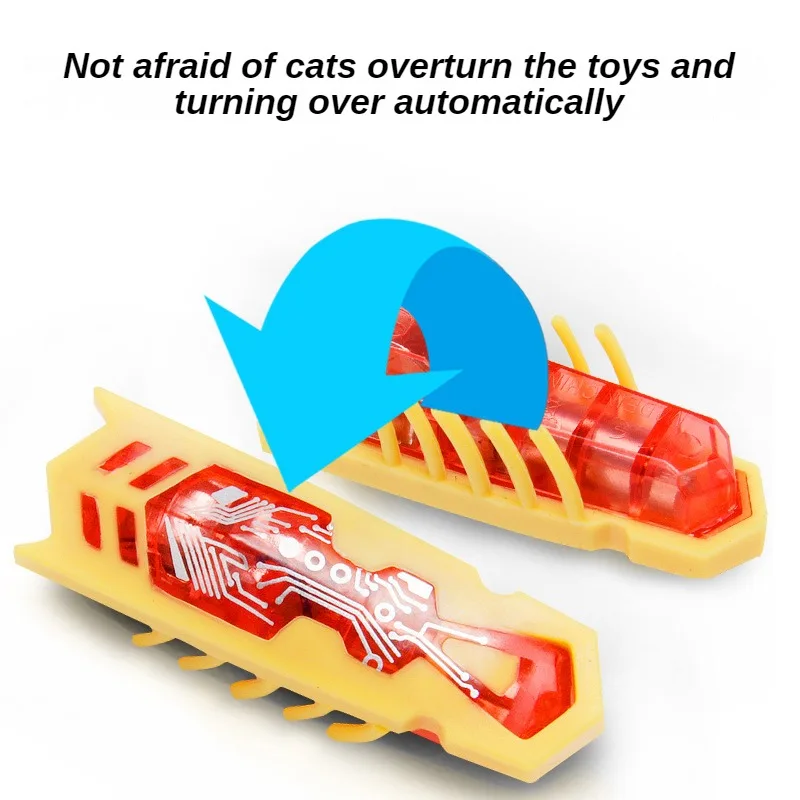 Funny Electric Bugs Catnip Toy - Catnip Toys review and price