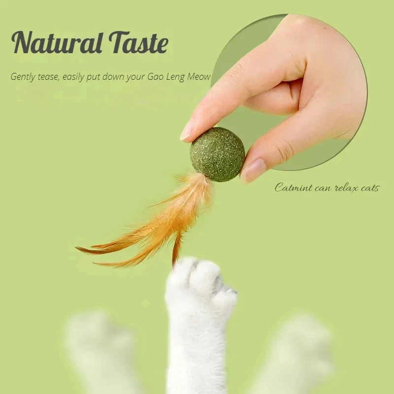 Pet Catnip Toys Edible Catnip  - Catnip Toys review and price