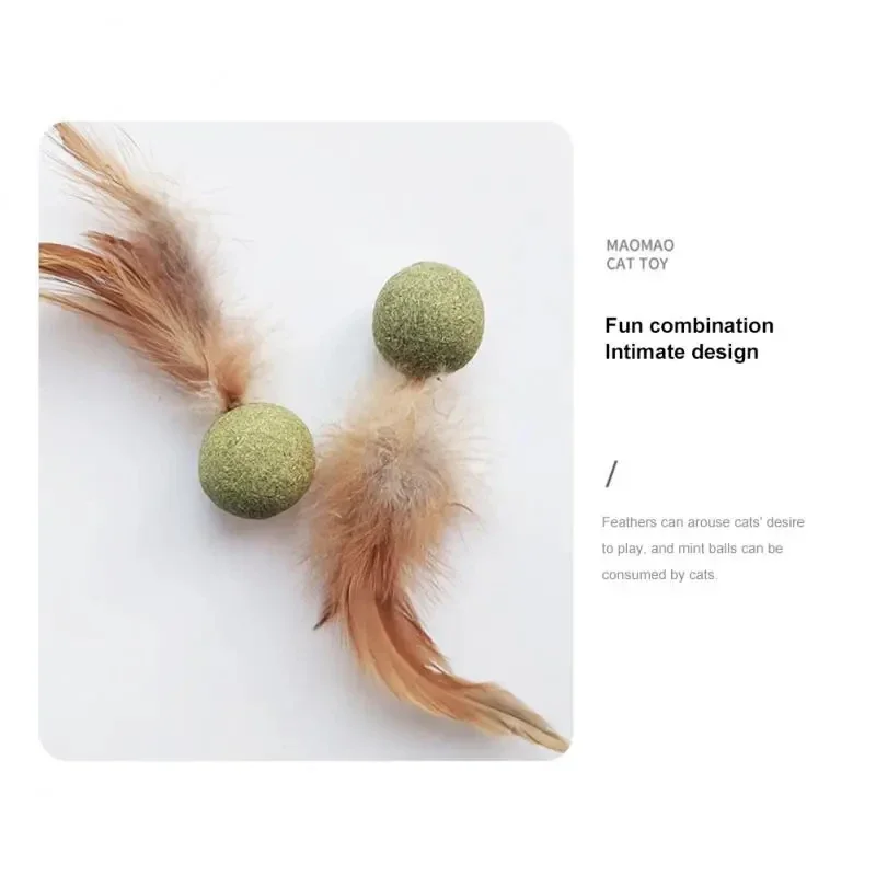 Pet Catnip Toys Edible Catnip  - Catnip Toys review and price