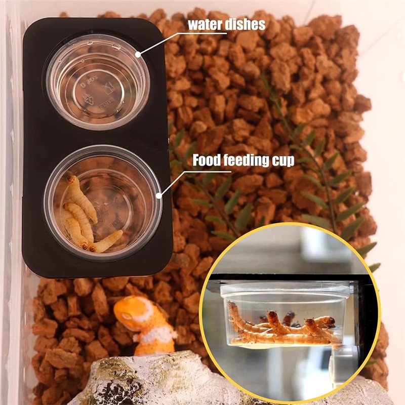 Crested Gecko Food And Water F - Pet Supplies Is Food review and price