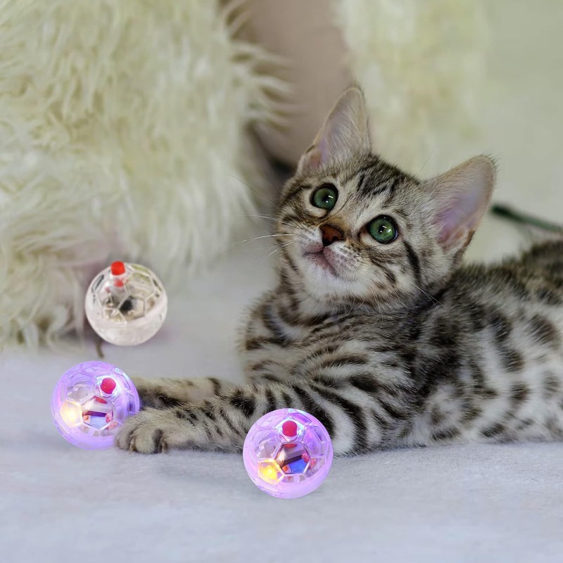 Cat Transparent Glowing Ball T - Catnip Toys review and price