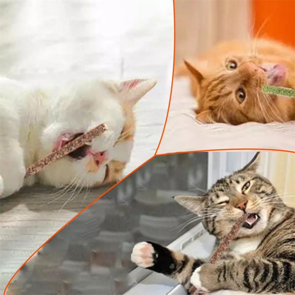 6pcs Natural Matatabi Cat Stic - Catnip Toys review and price