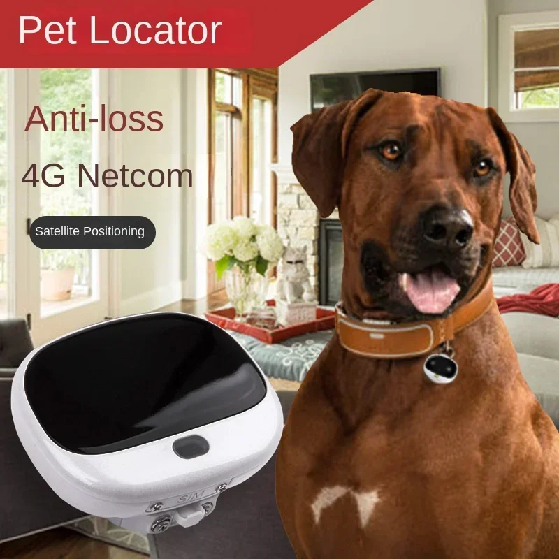 Mini 4G LTE 2G GSM Dog Gps Loc - Pet Supplies Locations review and price