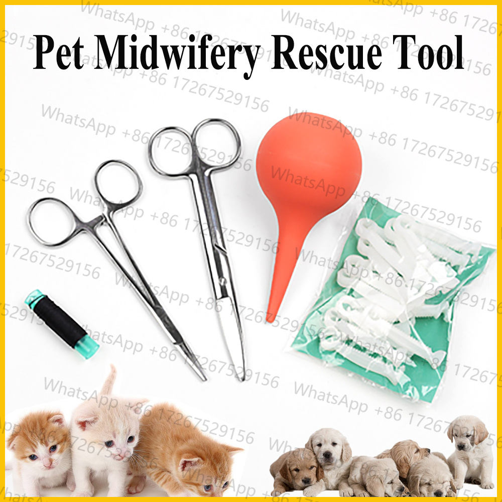 Applicable to1SET Pet Dog Cat  - Pet Supplies Application review and price