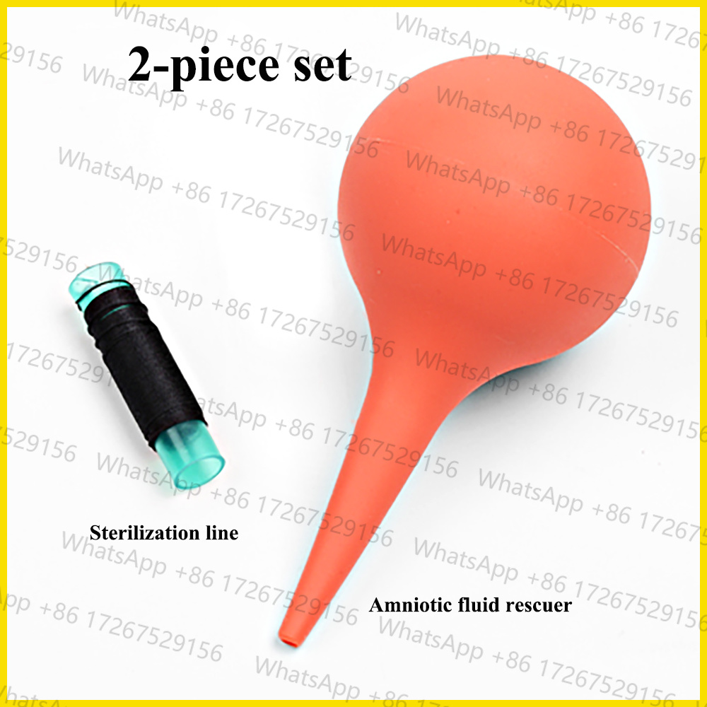 Applicable to1SET Pet Dog Cat  - Pet Supplies Application review and price