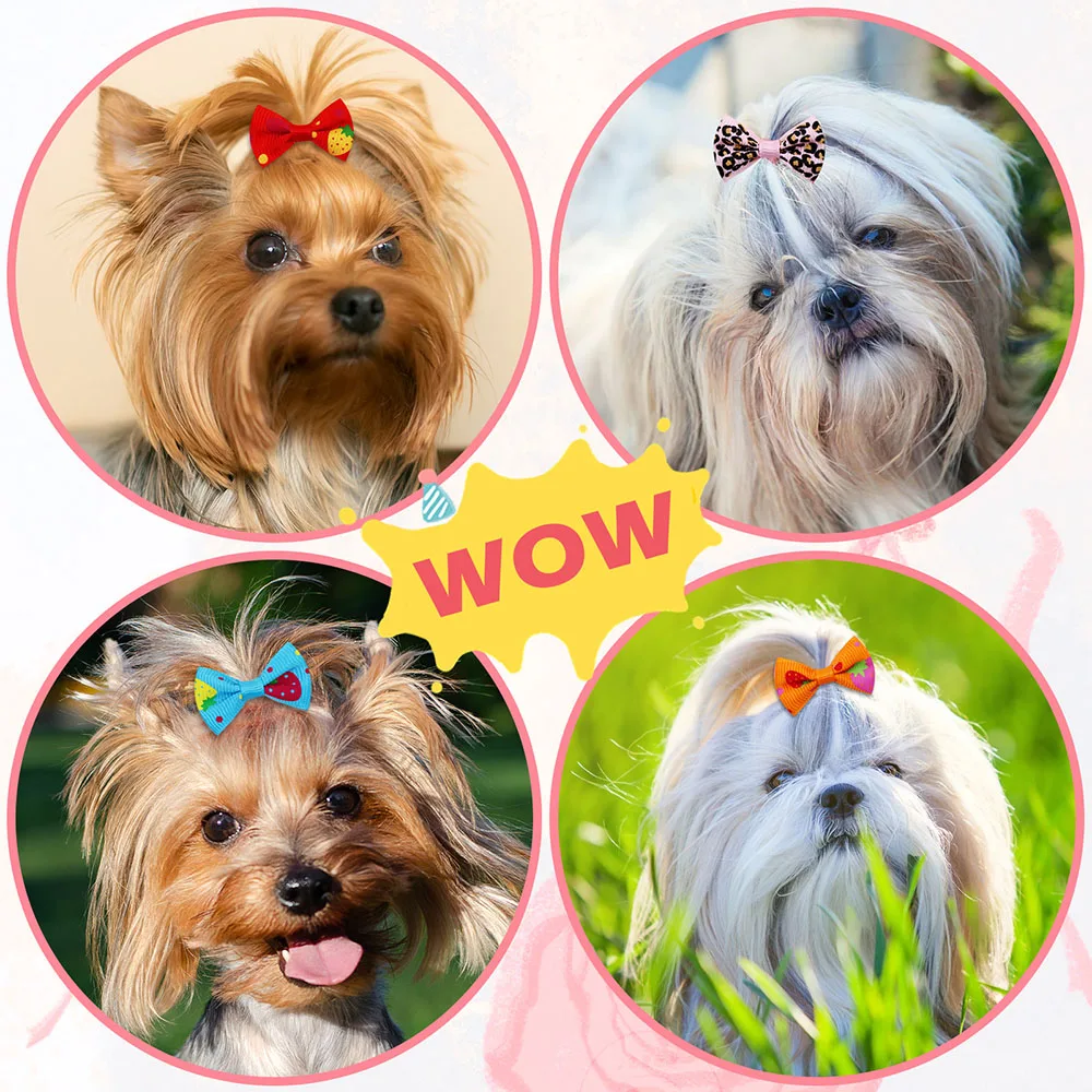 50PCS Dog Bows With Rubber Ban - Pet Supplies In Bulk review and price